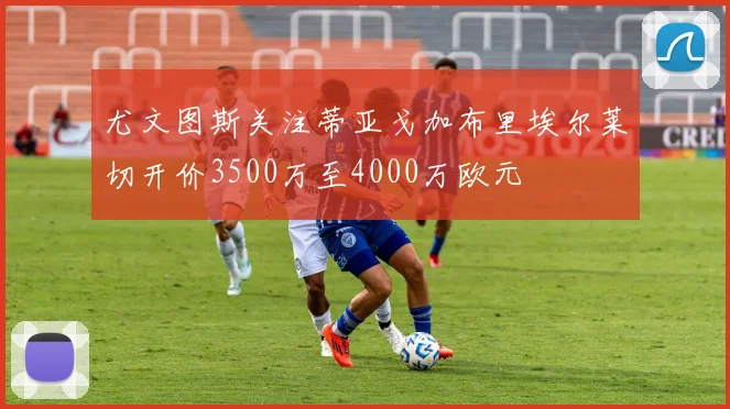 尤文图斯关注蒂亚戈加布里埃尔莱切开价3500万至4000万欧元