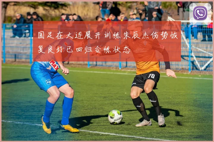 国足在大连展开训练朱辰杰伤势恢复良好已回归合练状态